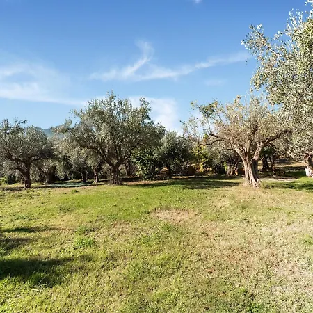 In Near Dom wakacyjny Bomba