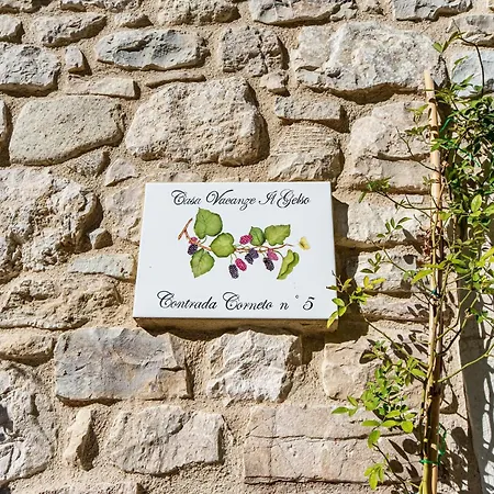 In Near Casa de Férias Bomba