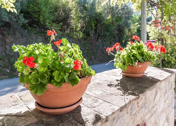 Casa vacanze In Near